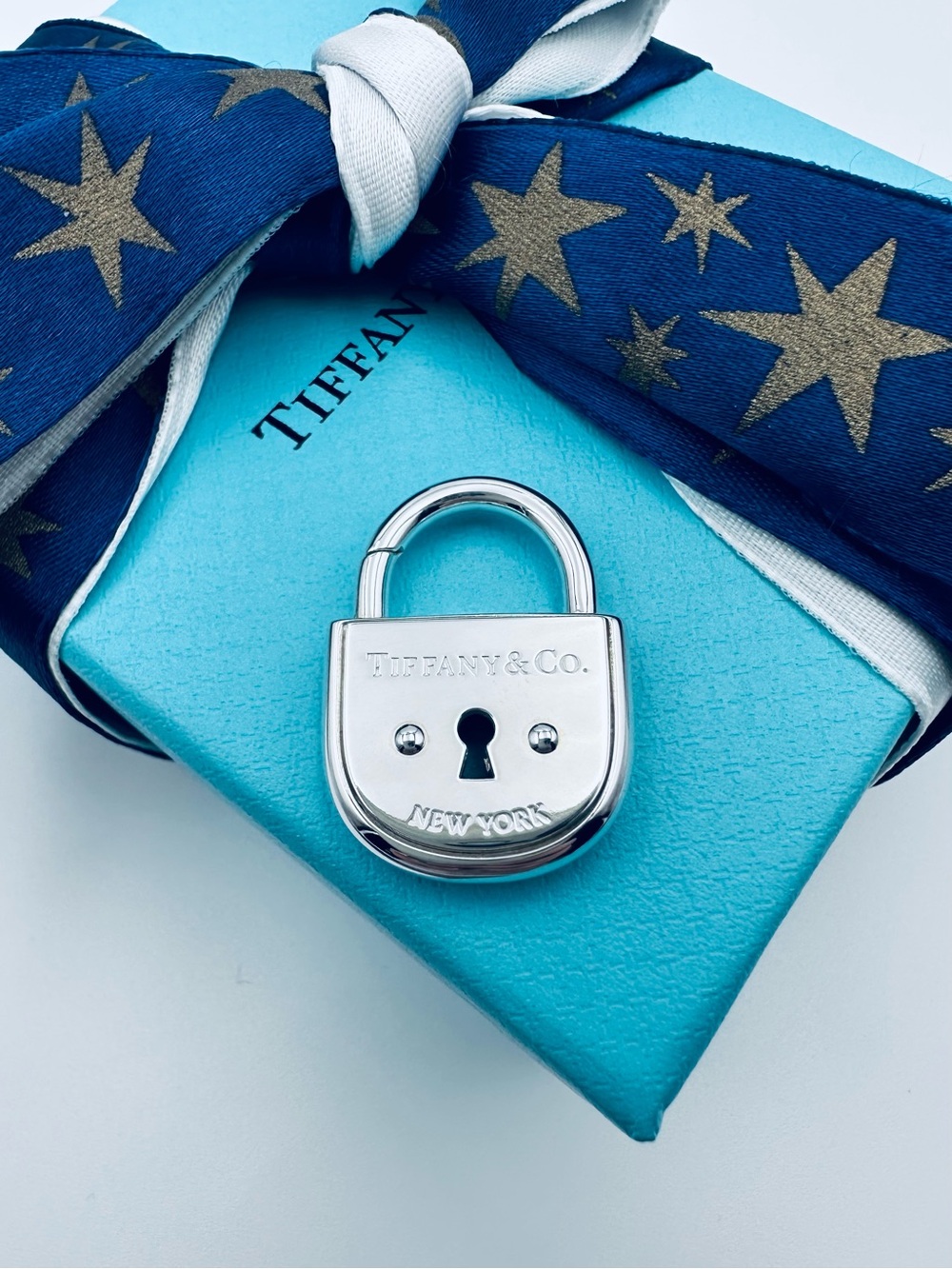 RARE Tiffany & Co. Arc Padlock Lock Large Pendant in Silver with Pouch